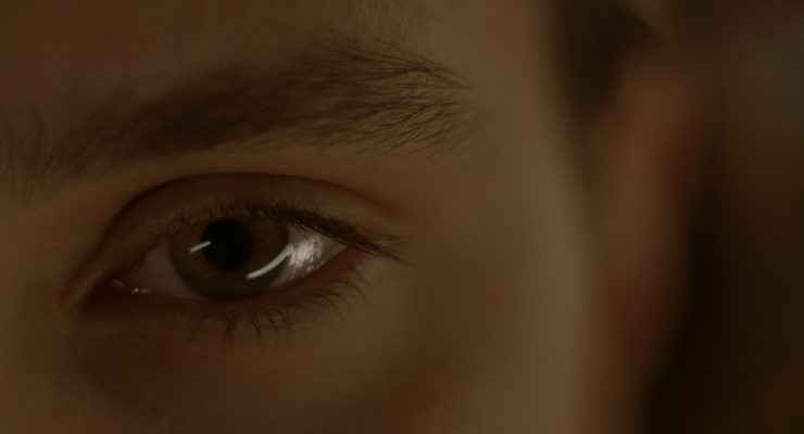 Nahaufnahme eines braunen Auges mit sichtbaren Wimpern und Augenbraue